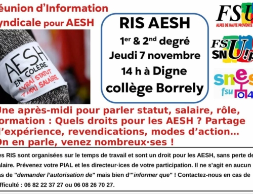 RIS AESH 7 novembre 2024, Digne