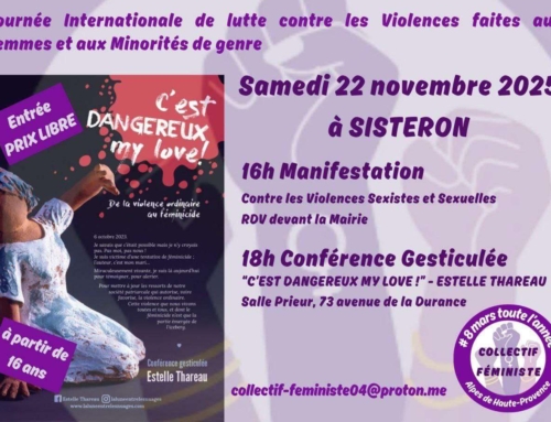 22 novembre 2025 journée d’action contre les VSS